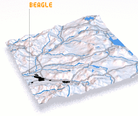 3d view of Beagle