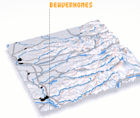 3d view of Beaver Homes