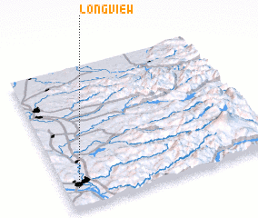 3d view of Longview