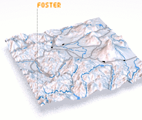 3d view of Foster