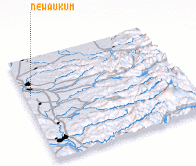 3d view of Newaukum