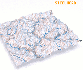 3d view of Steelhead