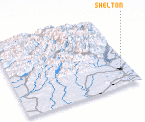 3d view of Shelton