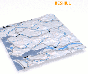 3d view of Meskill