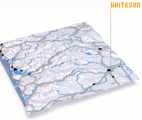 3d view of Whiteson