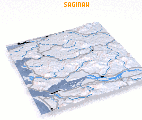 3d view of Saginaw