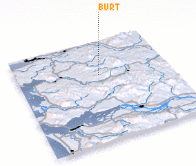 3d view of Burt