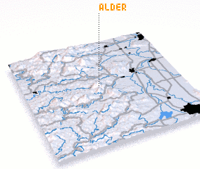 3d view of Alder