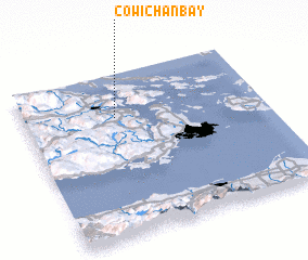 3d view of Cowichan Bay