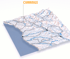 3d view of Cummings