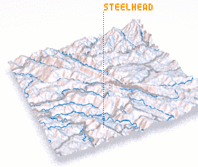 3d view of Steelhead