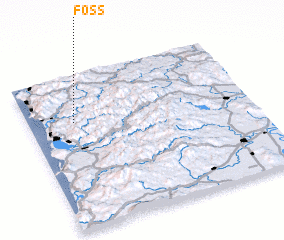 3d view of Foss