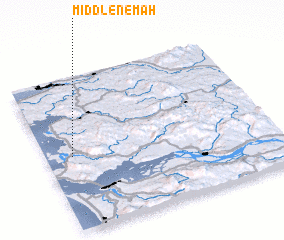 3d view of Middle Nemah