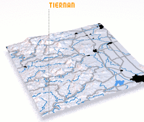 3d view of Tiernan