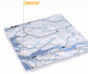3d view of Chinook