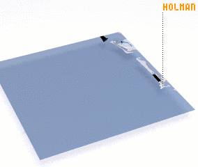 3d view of Holman