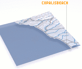 3d view of Copalis Beach