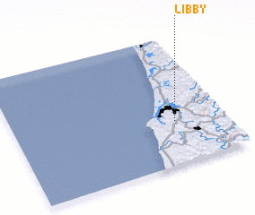 3d view of Libby