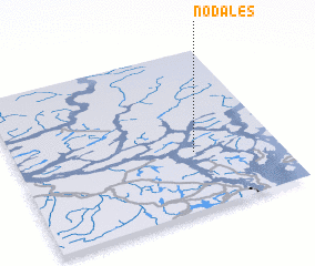 3d view of Nodales