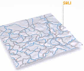 3d view of Sali