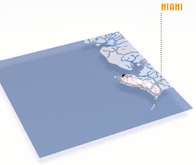 3d view of Miami