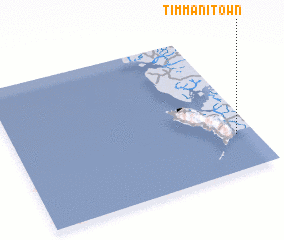 3d view of Timmani Town