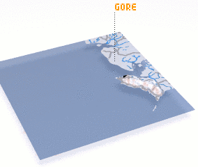 3d view of Gore