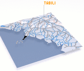 3d view of Tabili