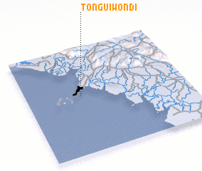 3d view of Tonguiwondi