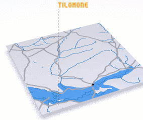 3d view of Tilomone