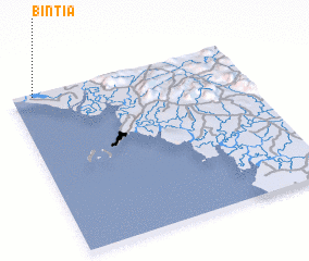 3d view of Bintia