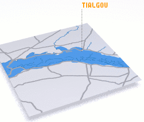 3d view of Tialgou