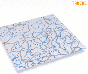 3d view of Tanéné