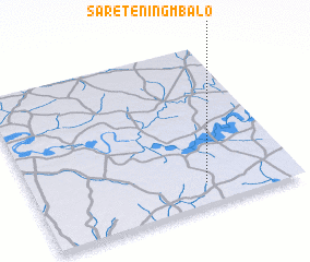 3d view of Saré Téning Mbalo