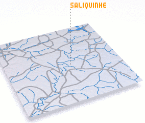 3d view of Saliquinhé