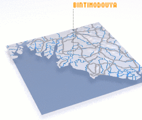 3d view of Bintimodouya