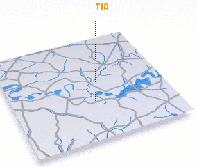 3d view of Tia