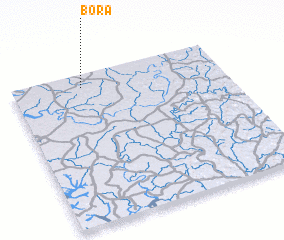 3d view of Borá