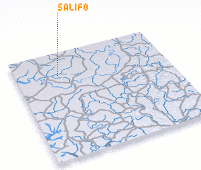 3d view of Salifo