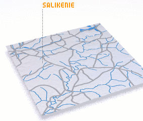 3d view of Salikénié