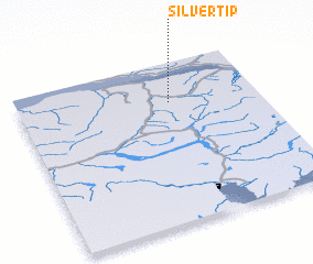 3d view of Silvertip