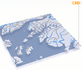 3d view of Cabi