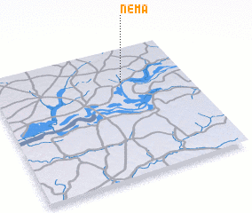 3d view of Nema