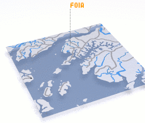 3d view of Foia