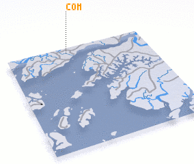 3d view of Com