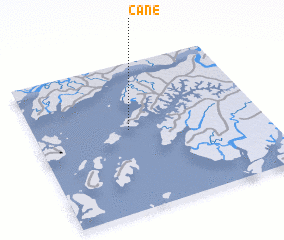 3d view of Cane