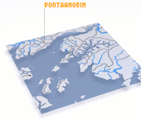 3d view of Ponta Amorim