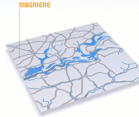3d view of Niagniène