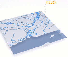 3d view of Willow