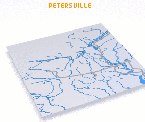 3d view of Petersville